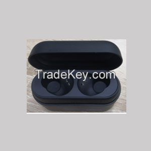 Earphone Products and Molds