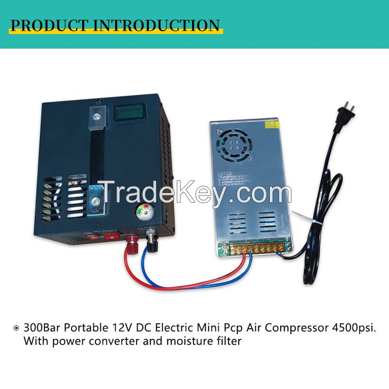 12v/110v Portable Pcp Air Compressor 4500 Psi Auto Stop Pump with LCD Digital Display