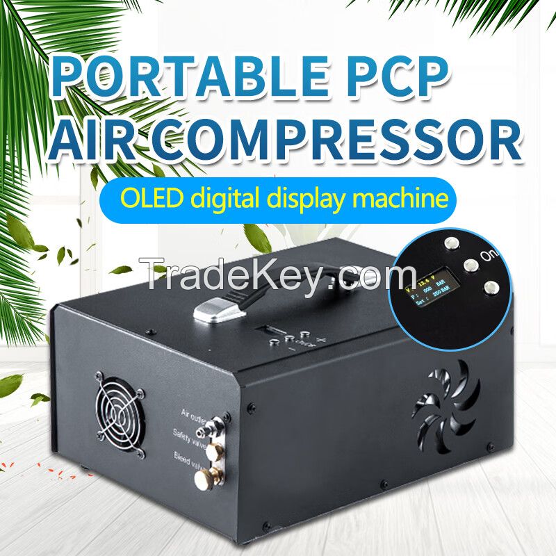 12v/110v Portable Pcp Air Compressor 4500 Psi Auto Stop Pump with LCD Digital Display
