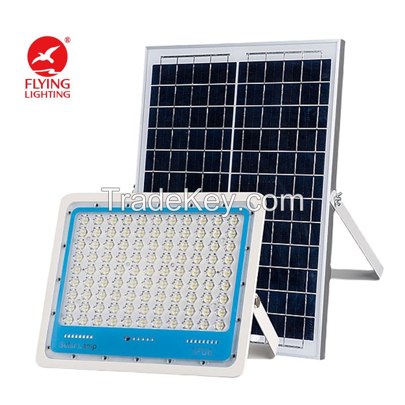 Remote Solar Floodlight (reference price)