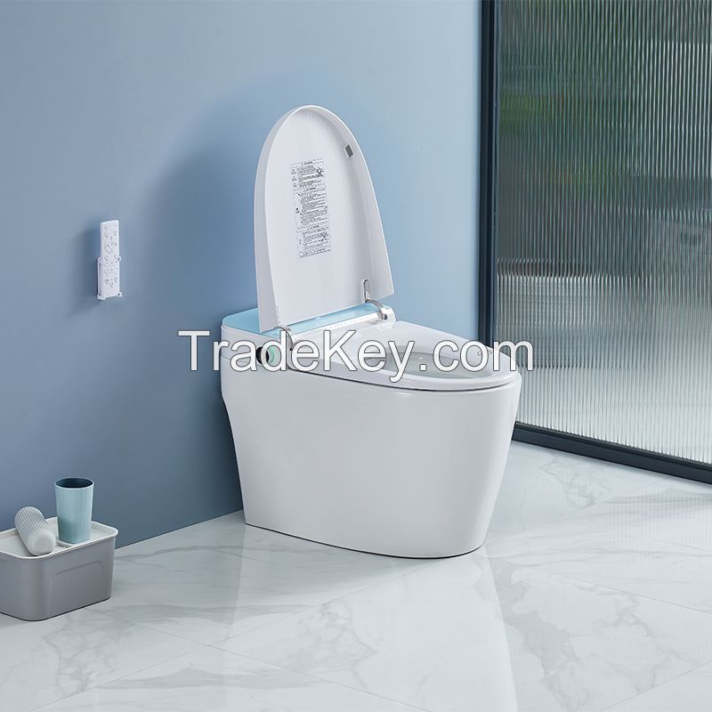 Multifunctional intelligent toilet with warm air drying, mobile massage, water temperature adjustment and air temperature adjustment