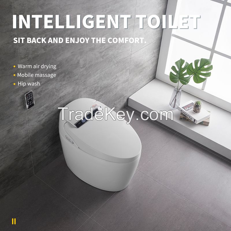Antimicrobial material, self-cleaning nozzle and toilet function of household intelligent toilet