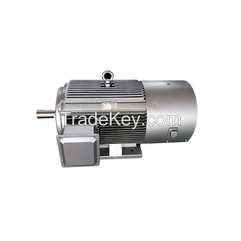 XIYMA  YVFE4 Series High-Efficiency Variable Frequency Speed Regulation Three-Phase Asynchronous Motor, Support Customization