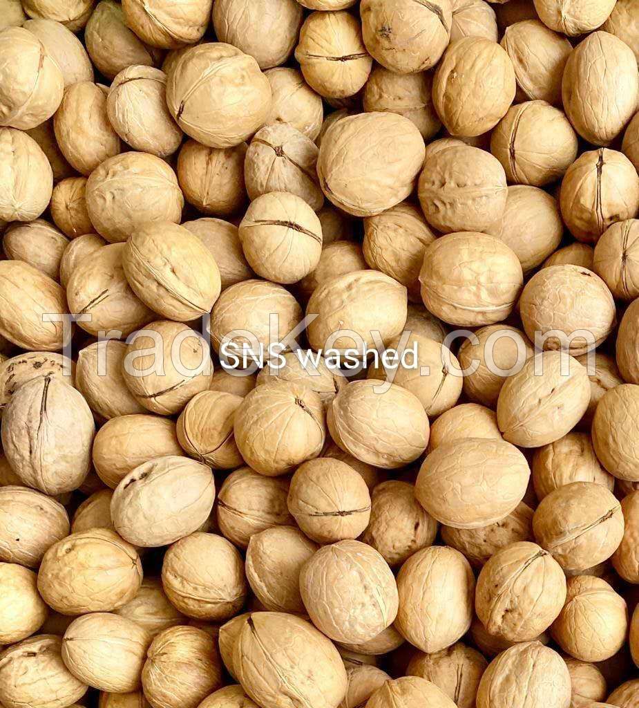 cheap price Xinjiang 185 Paper Shell Walnut thin shell washed