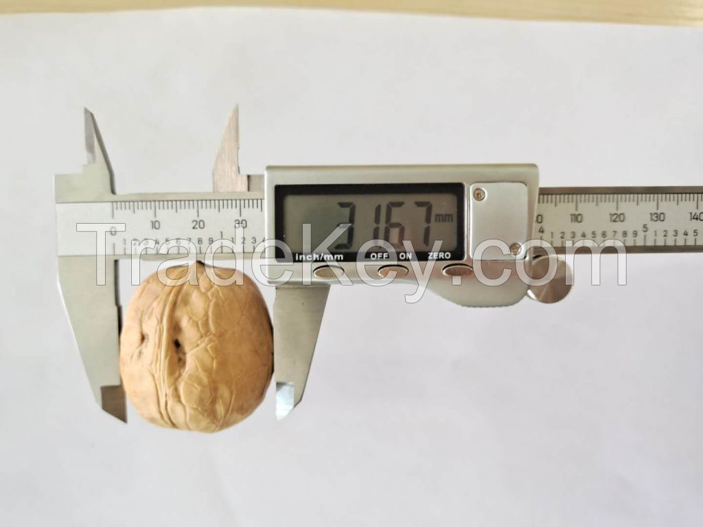 cheap price Xinjiang 185 Paper Shell Walnut thin shell washed