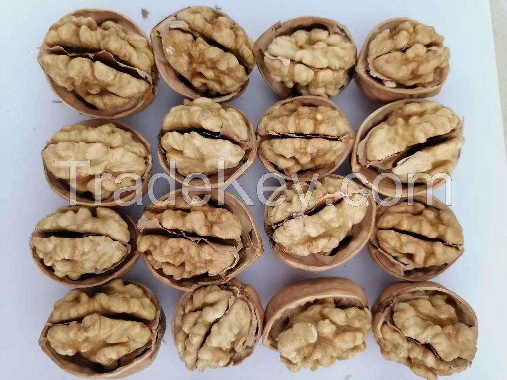 cheap price Xinjiang 185 Paper Shell Walnut thin shell washed