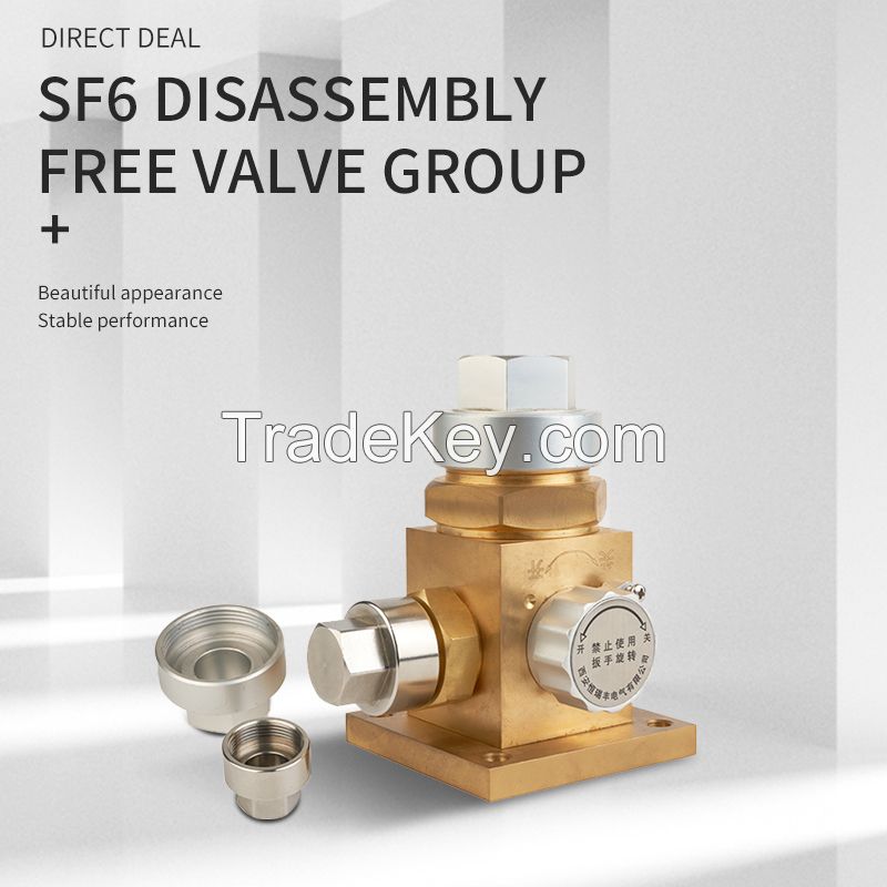 SF6 free disassembly valve group