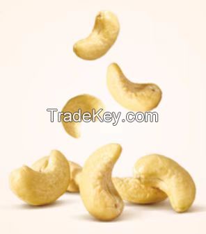 Primary cashew
