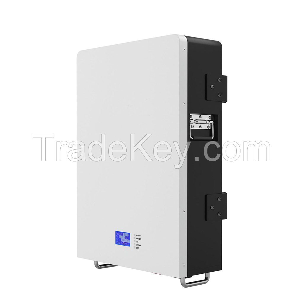 51.2V 100AH Wall-mounted storage battery