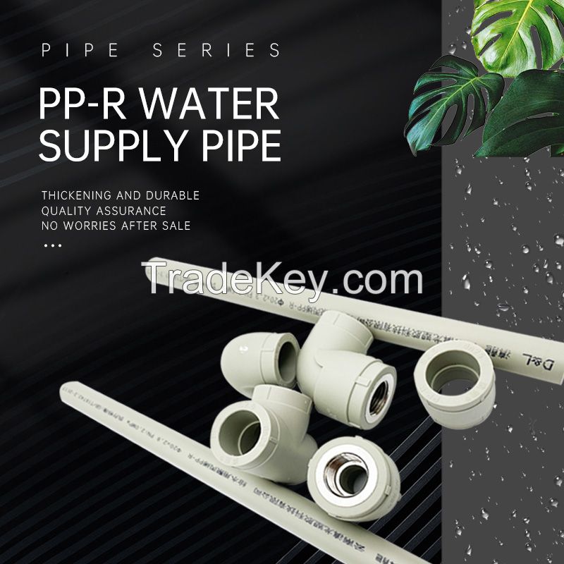 DIANLONG PPR water pipe fittings Cold and hot water universal accessories environmental protection heating pipe