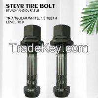 Steyr tire bolts . Please contact us by email for specific price. At least 1000 pieces