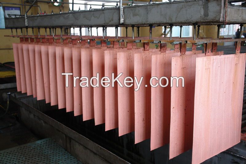 Copper scrap, Ingot, Aluminum, Stainless steel, Robs