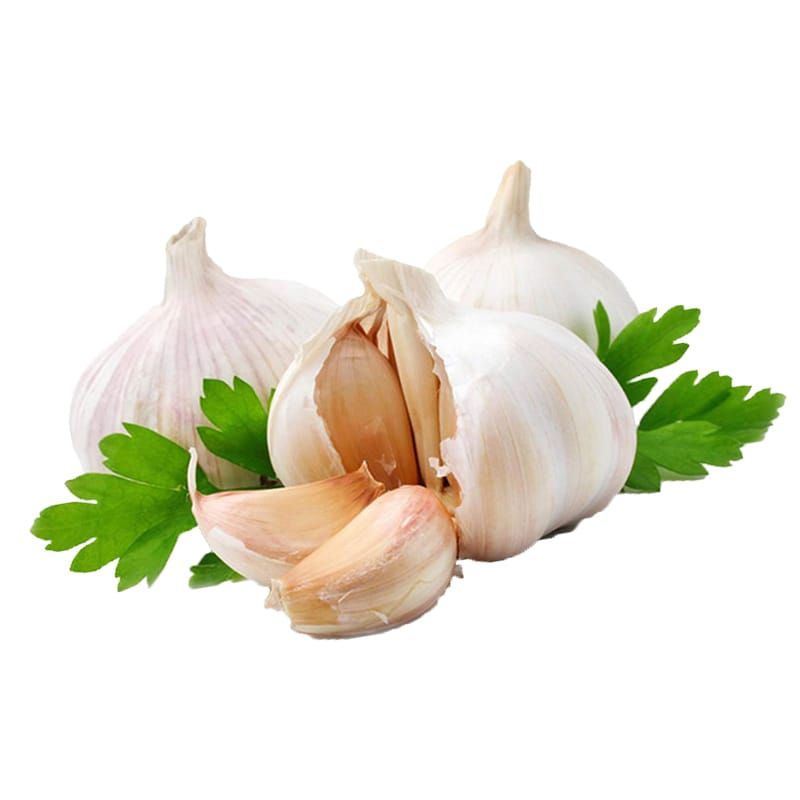 garlic allicin powder