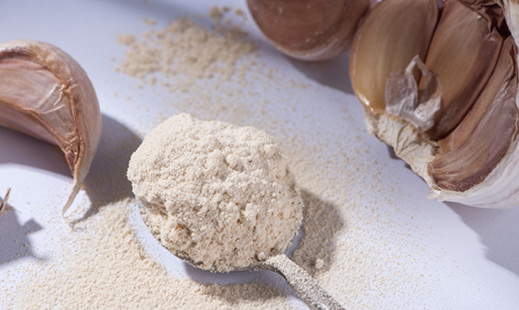 garlic extract powder