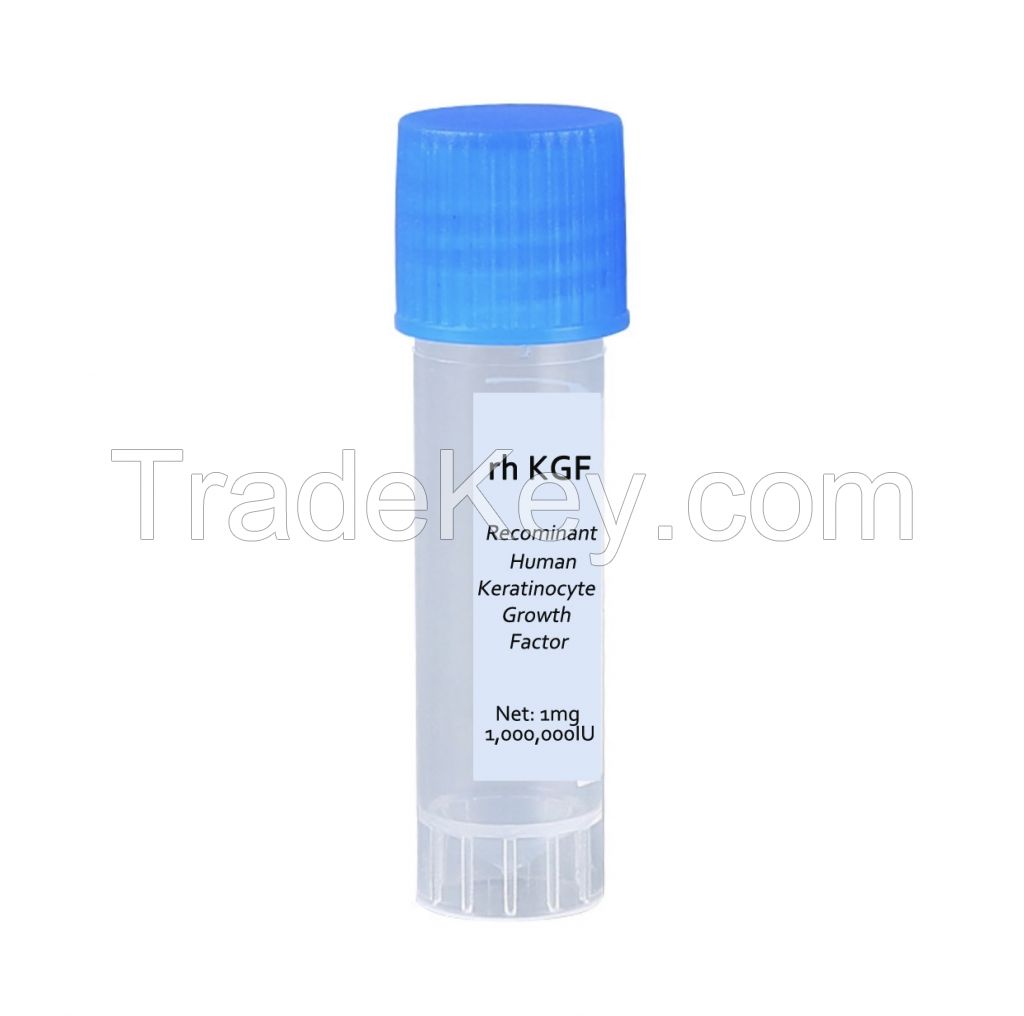 Keratinocyte Growth Factor (KGF)