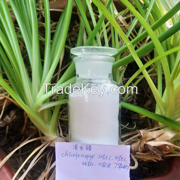 Agricultural Chlorfenapyr Insecticide Pest 36% Chlorfenapyr