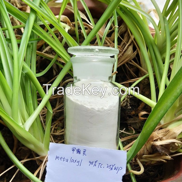 Agrochemical Pesticide Fungicide Metalaxyl - M 98%TC 25%WP 36%Ec