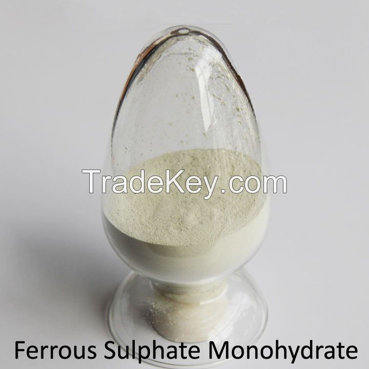 Ferrous Sulphate Monohydrate Manufacturer with the best price