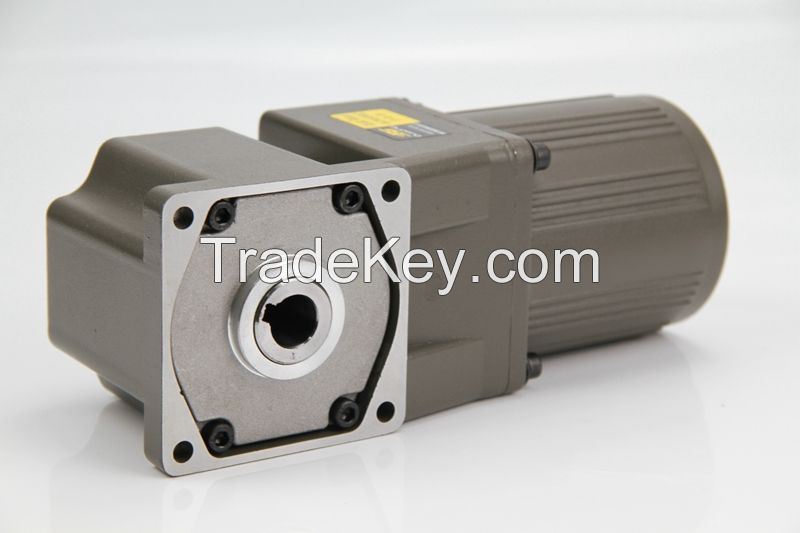 Single Phase AC Induction Spiral Bevel Right Angle Hollow Shaft Gear Motor (25W-250W)