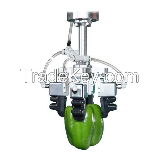 Gripper Combination is used in the food , candies, pastriesÃ¯Â¼ï¿½ fruits