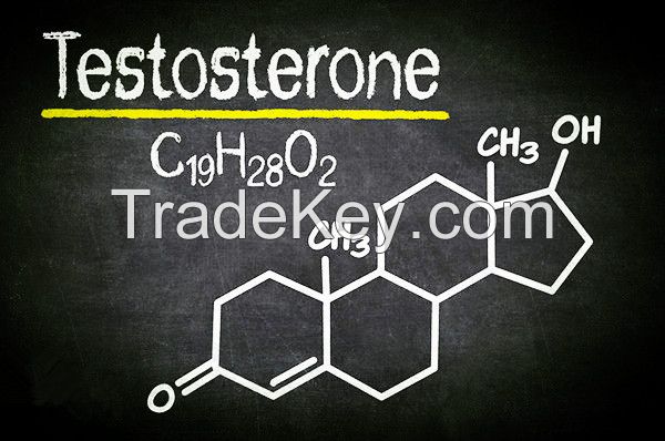 On Sales! Supply High quality Testosterone for healthy with low price.