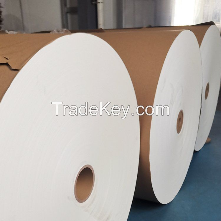 PLA coated paper cupstock rolls