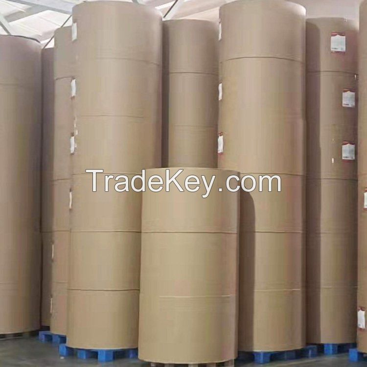 PLA coated paper cupstock rolls