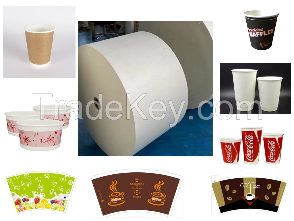 Paper cup raw material PE coated paper roll