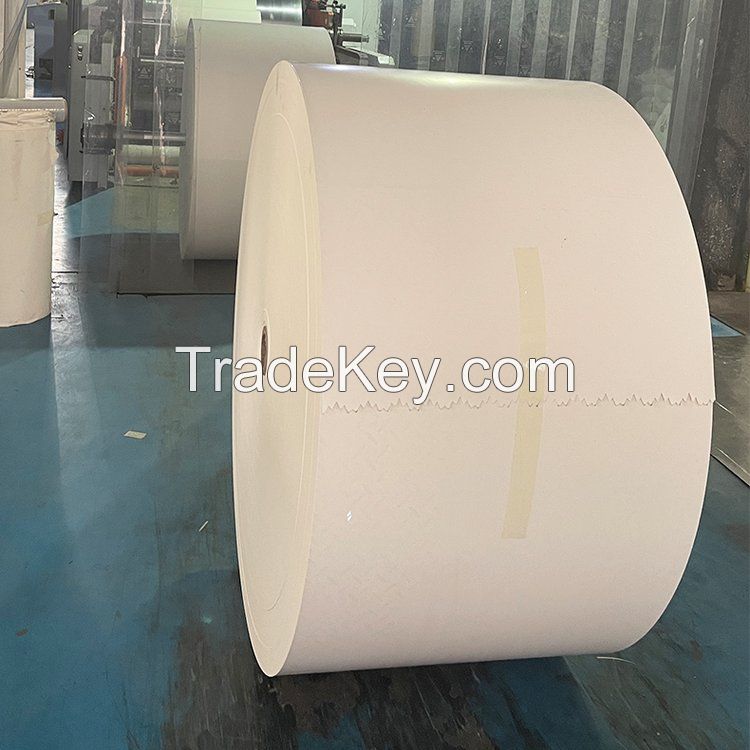 PLA coated paper cupstock rolls