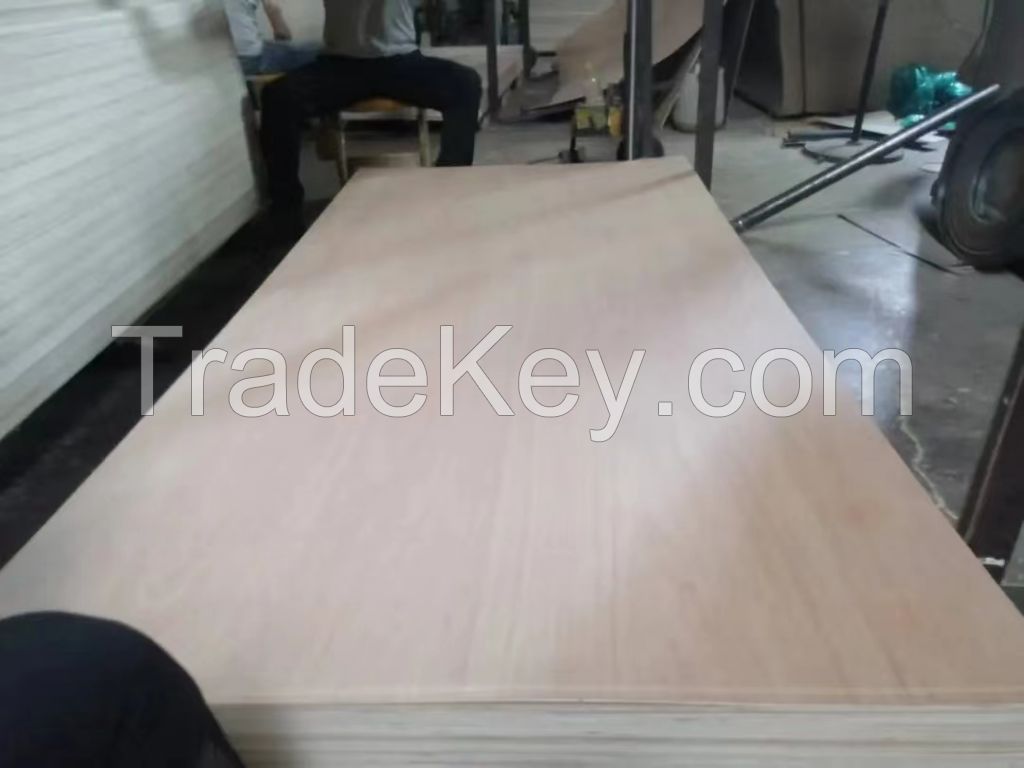 commercial plywood/ birch plywood/ bintangore plywood/ pencil cedar/ okoume plywood/...