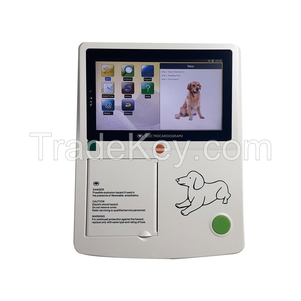 12 Lead Handheld Vet Animal 3 Channel Ecg Veterinary Portable Electrocardiograph Machine