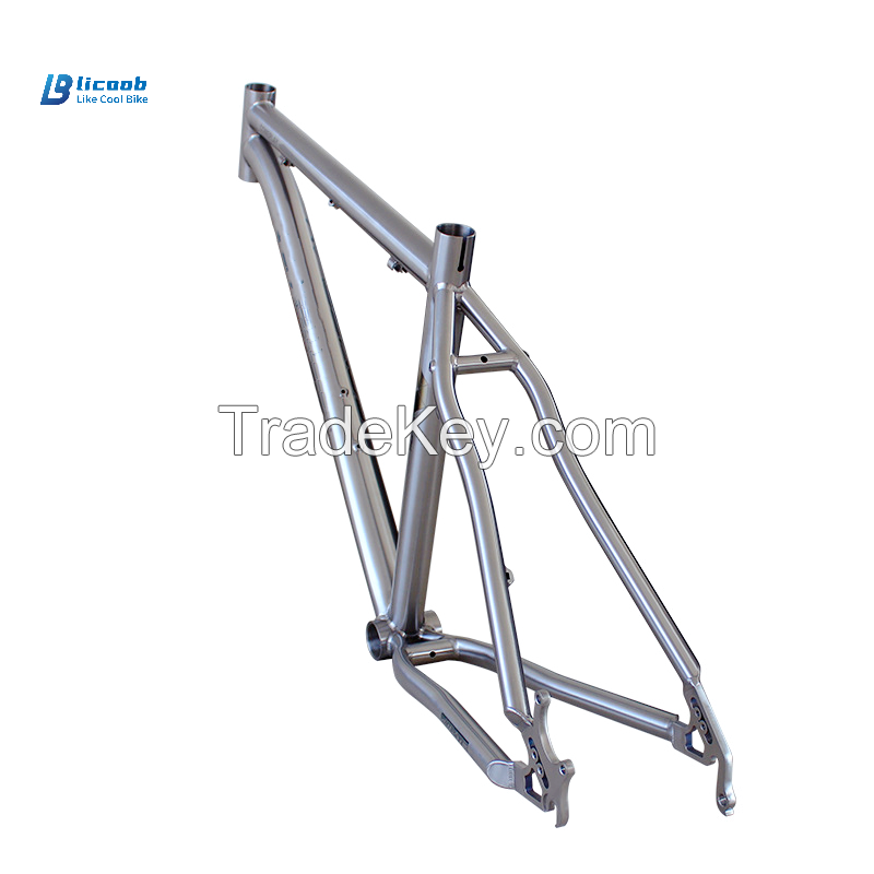 Customized Factory Outlet Good Quality Electric Bicycle Frame Customiz