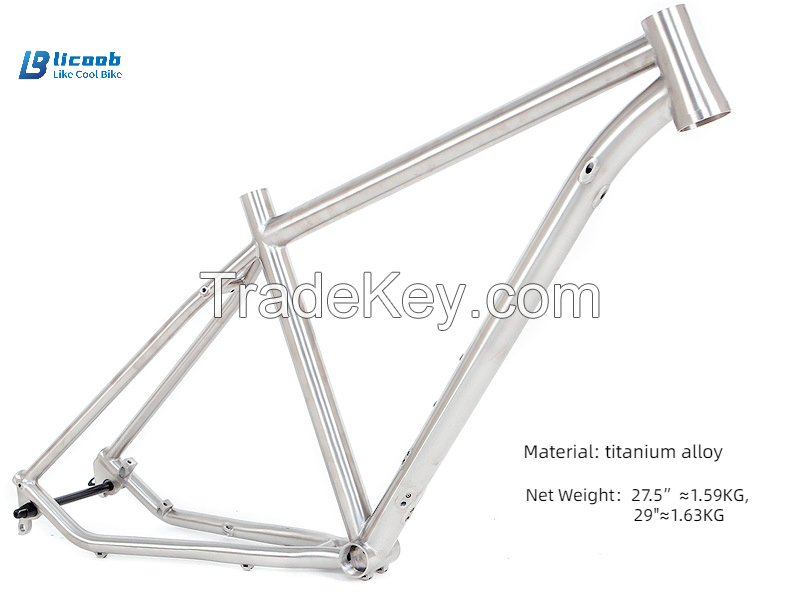 Customized Factory Outlet Good Quality Electric Bicycle Frame Customiz
