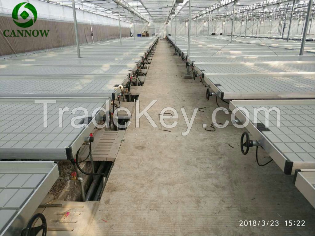 Greenhouse EBB flood rolling table with ABS trays for seedling 