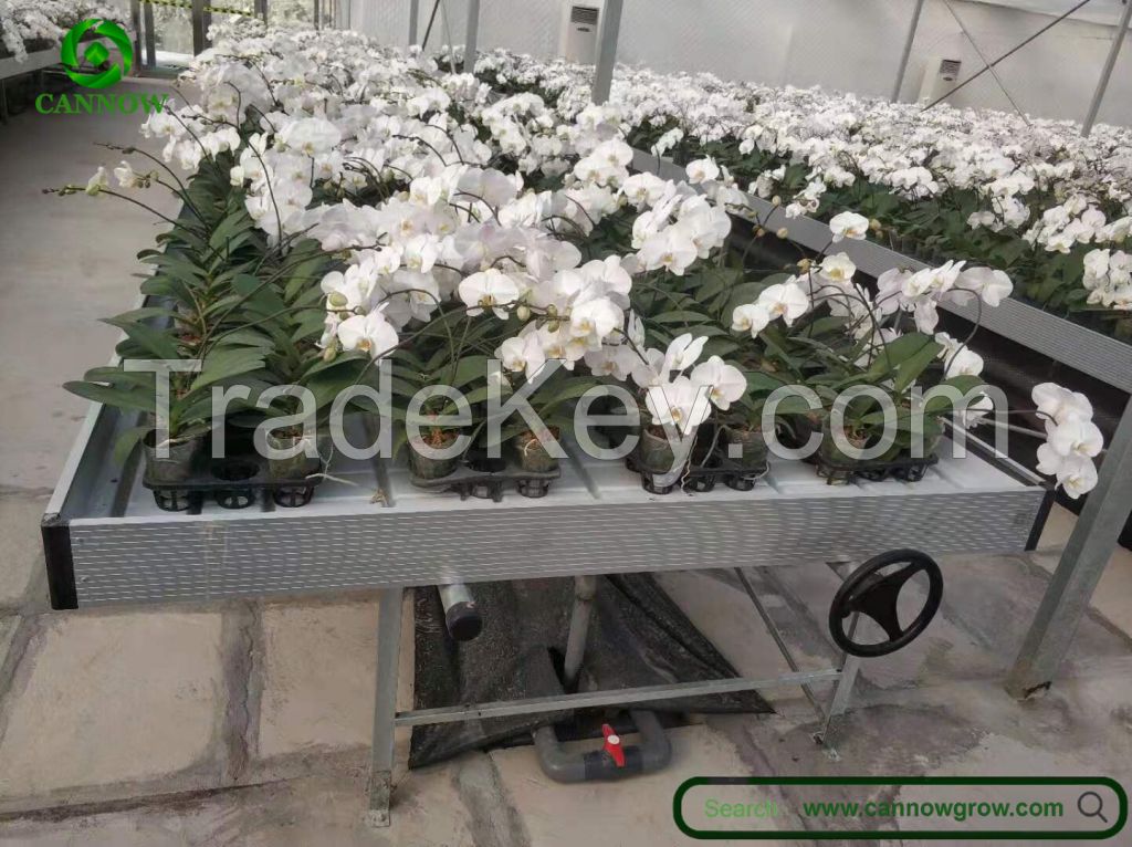 Greenhouse EBB flood rolling table with ABS trays for seedling 