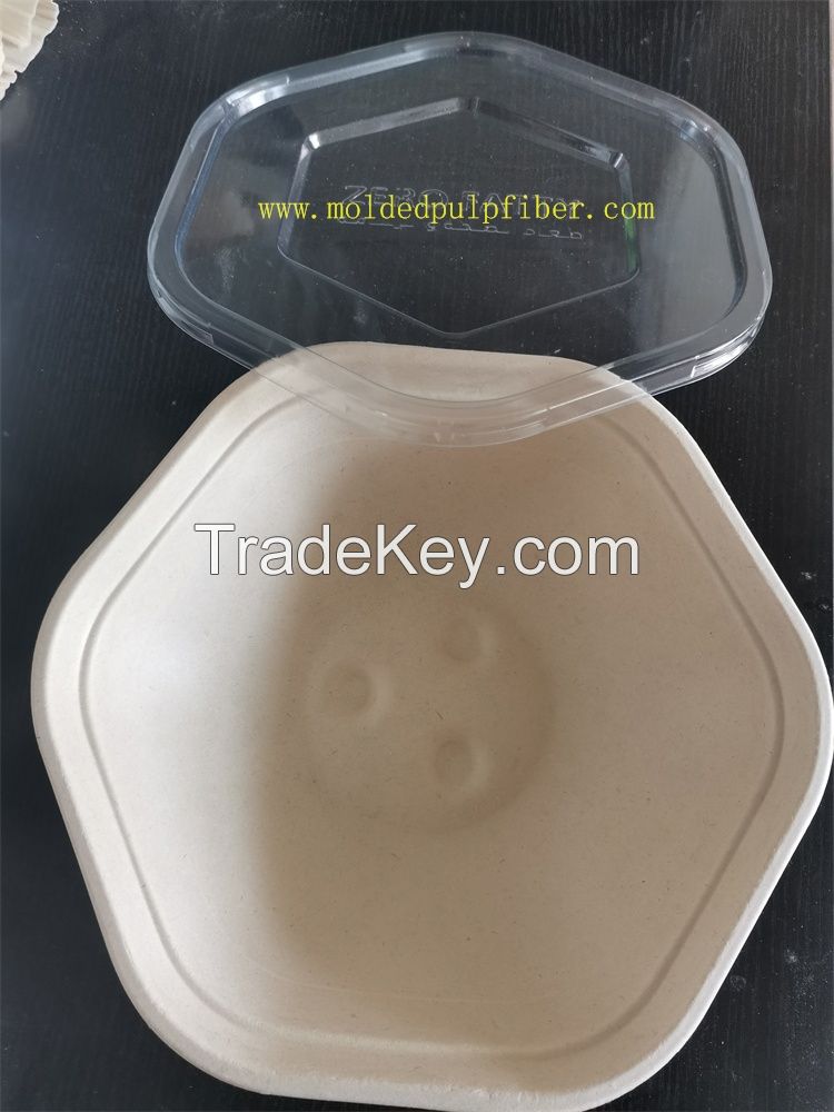 disposable bowl with lid,biodegradable bowl,disposable bowl