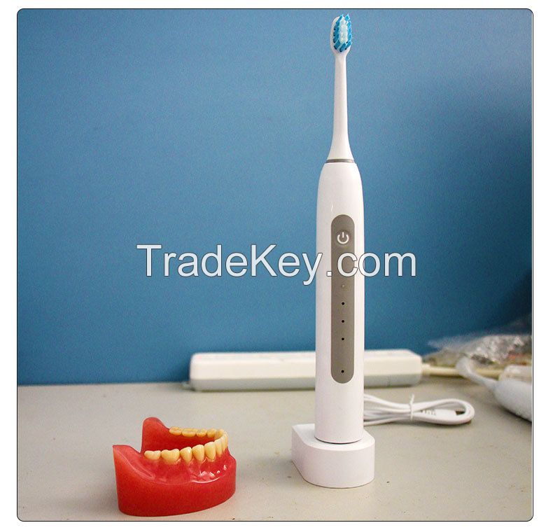 USB Rechargeable Sonic Electrical Toothbrush For Home With Dupont Soft Bristles