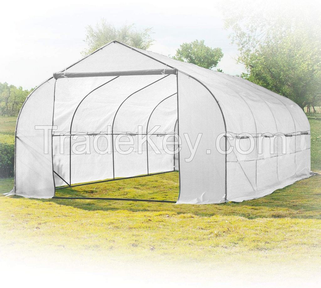 GOTHIC TUNNEL GREENHOUSE CLEAR - WALK IN NURSERY HOTHOUSE Walk-in Greenhouse-Grow Plants