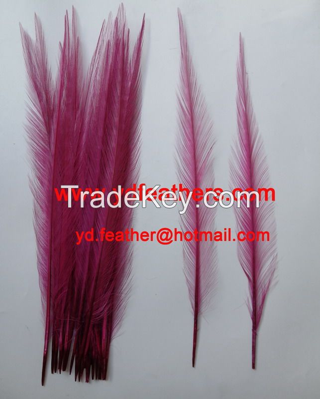 Burnt Ringneck Pheasant Tail Feather Dyed Pink from China