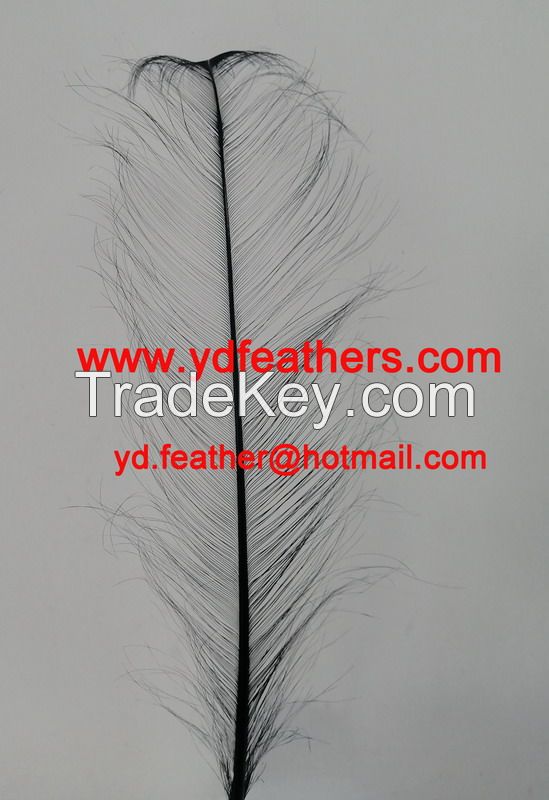 Burnt Ostrich Feather Dyed Black from China