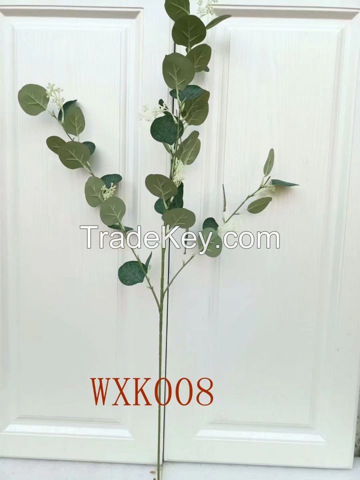 eucalyptus leaves and fruits