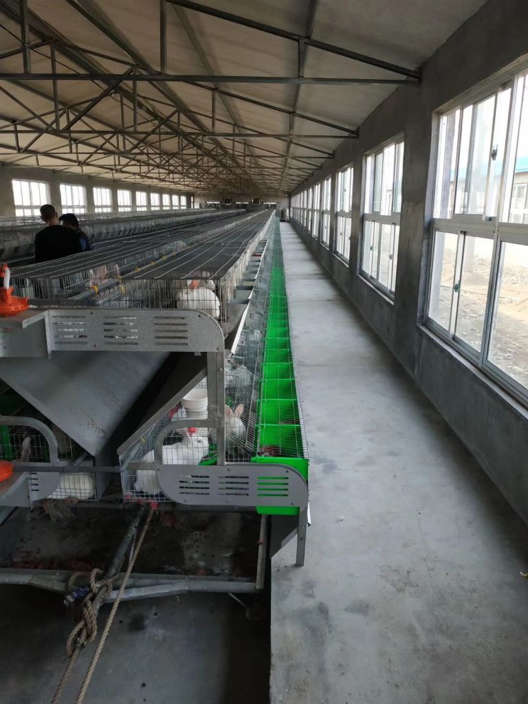 Rabbit farming cages By Sinom Machinery and Equipment Co., ltd, China