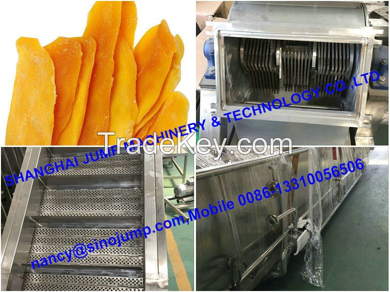 Mango Pulp processing line