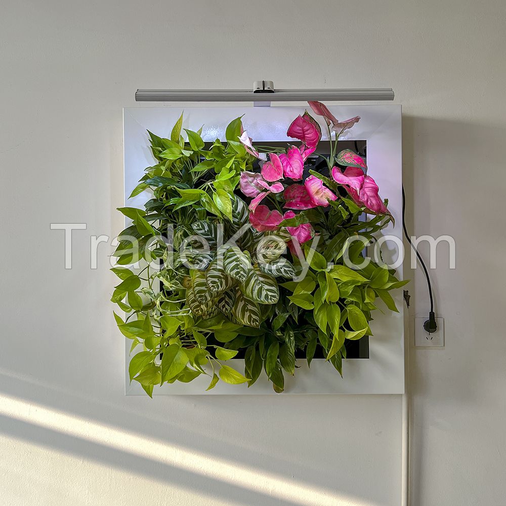 Wall-Mounted Green Living Wall Mobile Active Plant Livepicture No Electricity No Pump Living Wall with LED Grow Light