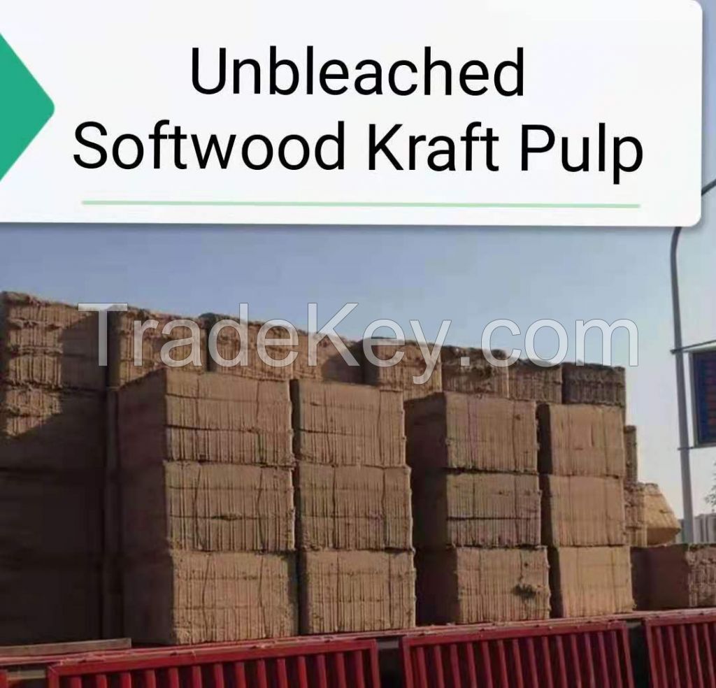 UNBLEACHED SULPHATE SOFTWOOD PULP