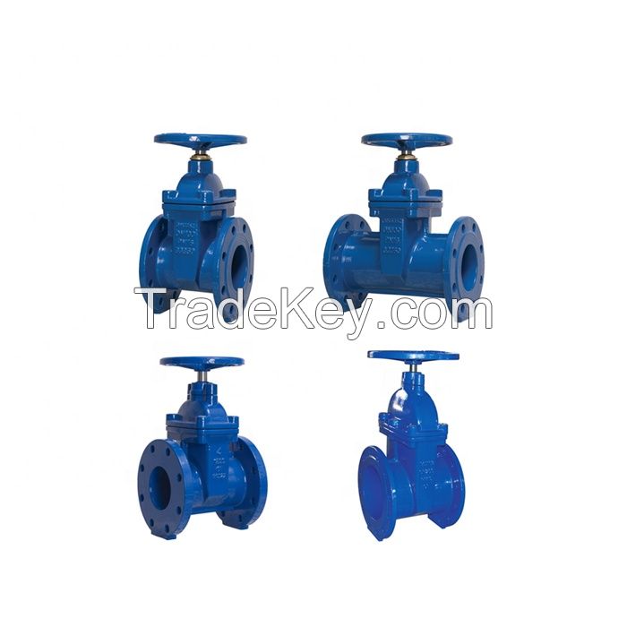 DIN PN10 PN16 Ductile Cast Iron GGG50 Hand wheel Resilient Seated Water Seal Gate Valve
