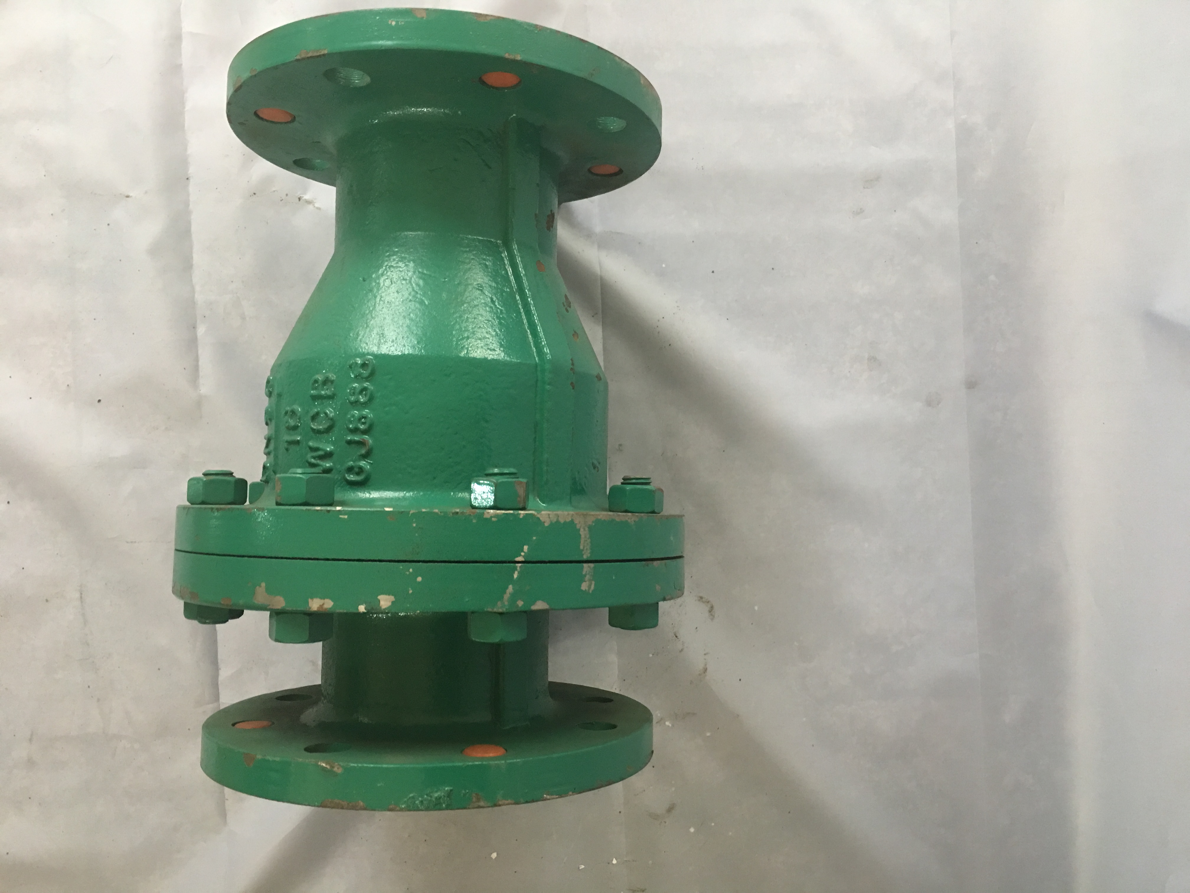 Rubber lined check valve