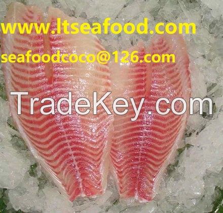 Tilapia fish zhangsf7736 at hotmail dot com