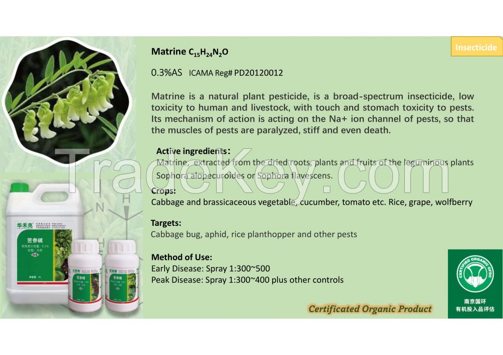 Natural Herb Extracts Bio Pesticide Matrine 0.3%AS for Organic Agriculture