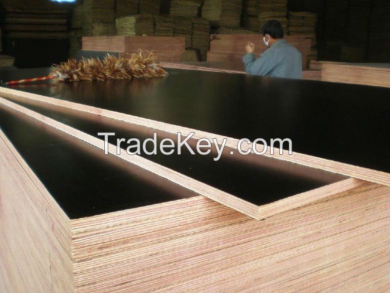 1200x1800mm F14 Grade Black Film Faced Plywood for Australian market